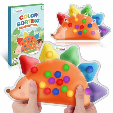 Color Sorting Sensory Toys  Roadtrip Travel Essenstial Color Matching Preschool Activities Educational Calm Down Montessori Toys for Boy Girl Gifts Ages 3+
