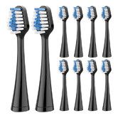 10Pcs Replacement Toothbrush Heads for Waterpik Complete Care 5.0 or 9.0 Tooth Brush, and for AquaSonic Duo Series and Home Dental Toothbrush, Black