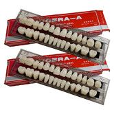 2 Set Whole Teeth Synthetic Polymer Denture Tooth, 56 Pcs False Teeth Dental Complete Acrylic Resin Denture Teeth for Replacement, DIY, or Halloween