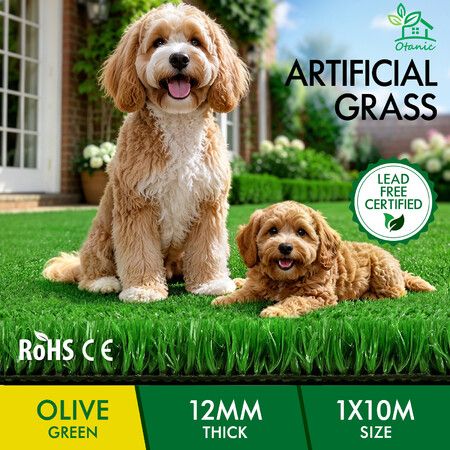 OTANIC Artificial Grass 10SQM Roll Synthetic Turf Fake Yarn Lawn 12mm 1x10m