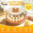 Auto Egg Incubator 26-59 Eggs Hatcher Breeder Automatic Turning Stop Humidity Control Hatching Chicken Duck Bird Quail Poultry Water Refill Candler