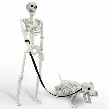 Lighted Human Dog Skeleton Halloween Decorations Outdoor Indoor 36 Inch Realistic Full Body Movable Posable Skeleton Spooky Halloween Decor