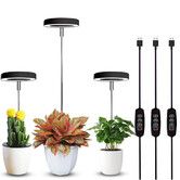 Grow Lights for Indoor Plants Small Potted Full Spectrum,Auto 3/9/12H Timer,10-Level Dimming & Adjustable Height (Black,3 Pack)