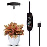 Grow Lights for Indoor Plants Small Potted Full Spectrum,Auto 3/9/12H Timer,10-Level Dimming & Adjustable Height (Black,1 Pack)