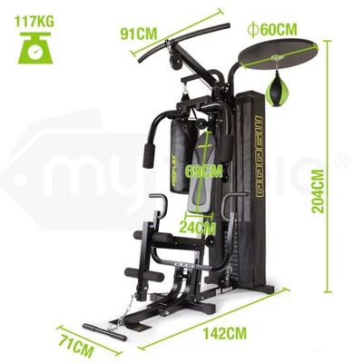 Proflex multi home online gym