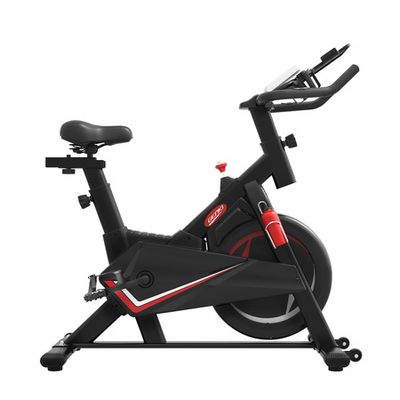 13kg flywheel spin online bike