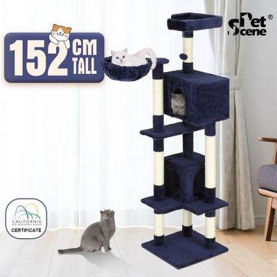 Cat gym afterpay sales
