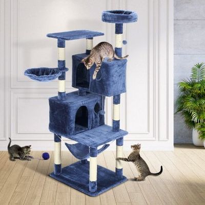 Cat shop play pole