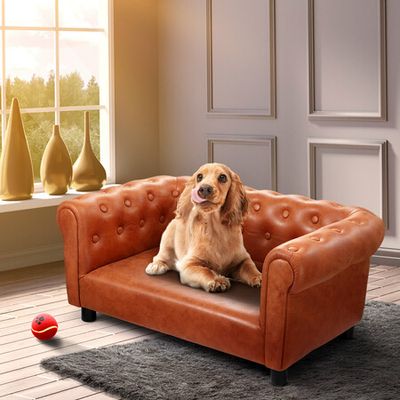 Large best sale dog lounge