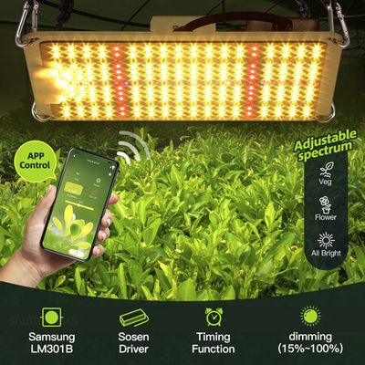 Wireless led outlet grow lights