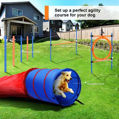 Pet Chase Toys,Interactive Dog Toys,Agility Training Equipment for