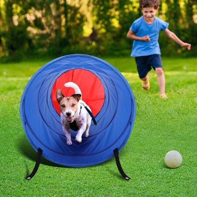 Pet Chase Toys,Interactive Dog Toys,Agility Training Equipment for