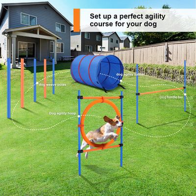 Pets Dogs Hurdle Bar Puppy Agility Equipment Interactive Toys