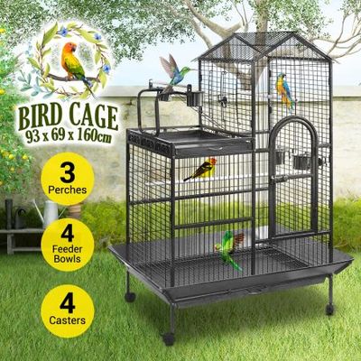 Crazy sales bird sales cage