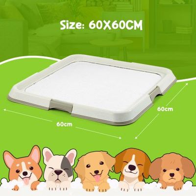 50Pcs Set Dog Training Pads Puppy Pee Pads Cat Wee Mats Potty