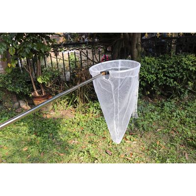 Telescopic Butterfly and Insect Nets for Catching Insects Bugs, Stainless  Steel Handle Extends from 15 Inches to 59 Inches