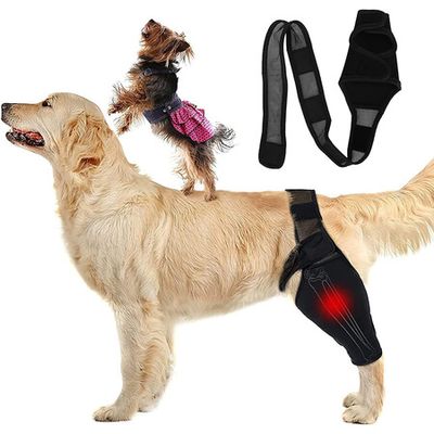 Dog elbow hotsell callus pads