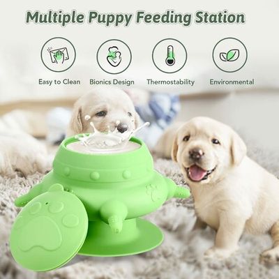 Multiple puppy outlet feeding station