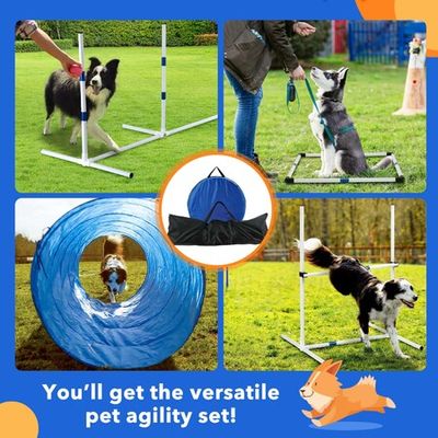 Dog agility clearance training supplies