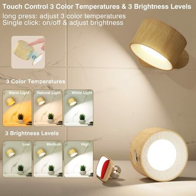 Ceiling mounted deals battery operated lights