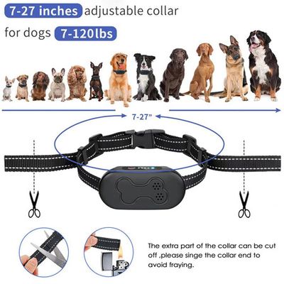 Shock collars for on sale extra small dogs