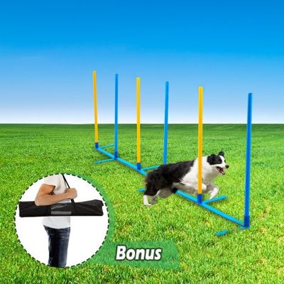 Dog agility toys sales & equipment