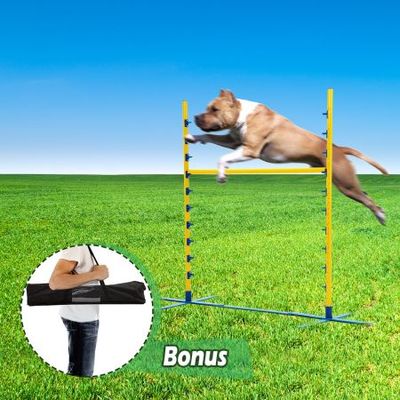 Agility training outlet toys