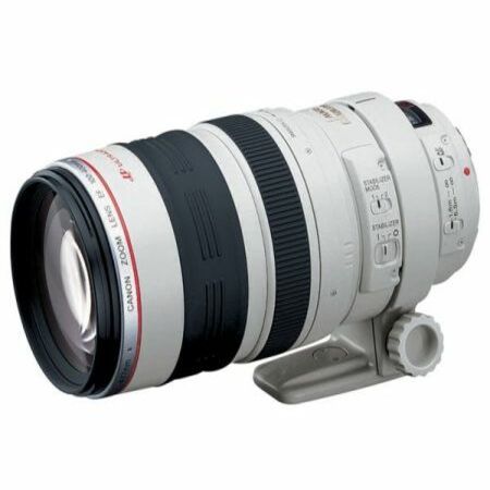 Canon EF 100-400mm f/4.5-5.6L IS USM Lens