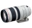 Canon EF 100-400mm f/4.5-5.6L IS USM Lens