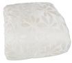 Accessorize Queen Size Boston Cream 6PCS Comforter Set