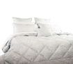 Accessorize Queen Size Boston Cream 6PCS Comforter Set