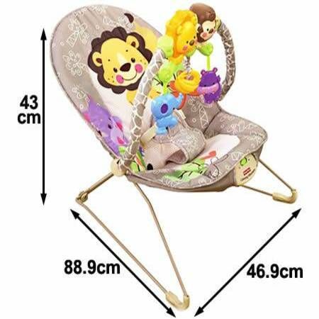 Fisher price bouncer age limit on sale