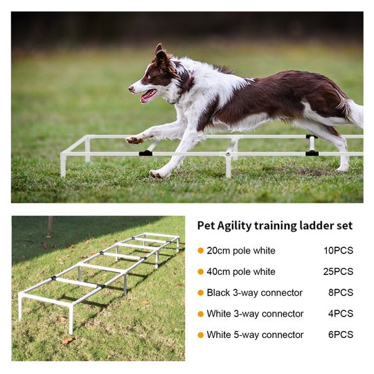 Dog agility outlet ladder