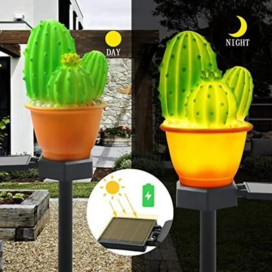 Cactus solar outlet lights