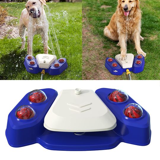 Outdoor on sale dog tub