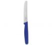 Victorinox Cutlery - Round Tip Blue Handle - 12pc Steak Knife & Fork Set