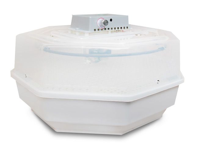 top rated automatic egg incubator