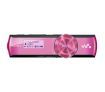Sony Walkman 2GB MP3 Player - NWZ-B173F - Pink