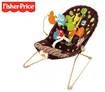 Fisher Price Woodlands Bouncer