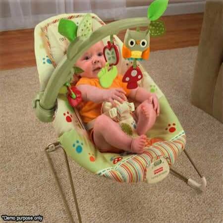 Woodsy friends comfy time 2025 bouncer