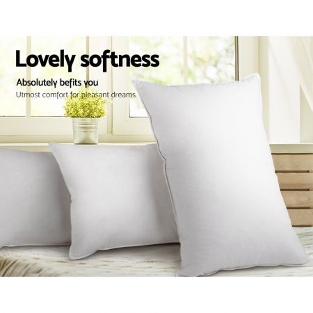 Giselle Bedding Duck Feather Down Pillow Twin Pack