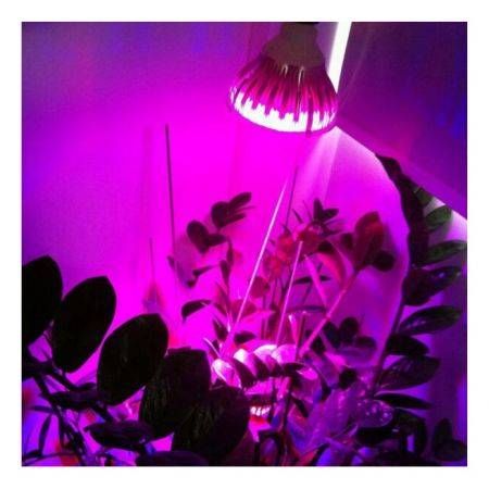 28W Full Spectrum Led Plant Growing Lamp