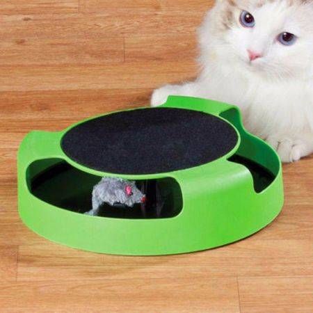 Motion Kitten Cat Toy Catch The Mouse Chase Interactive Cat Training Scratchpad