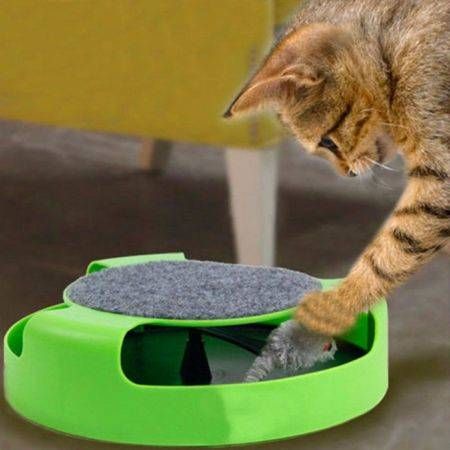 Motion Kitten Cat Toy Catch The Mouse Chase Interactive Cat Training Scratchpad