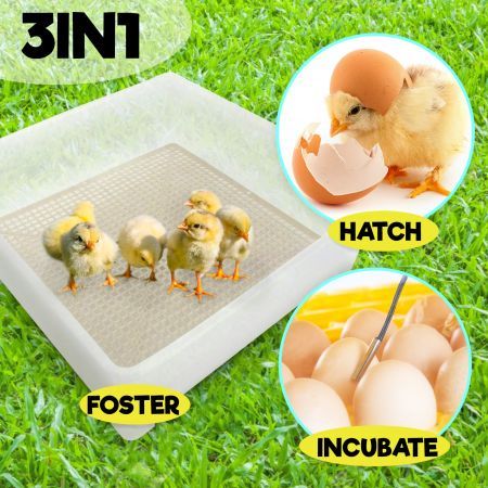 Eggs Digital Hatch Incubator Chicken Quail 104 Eggs Tray