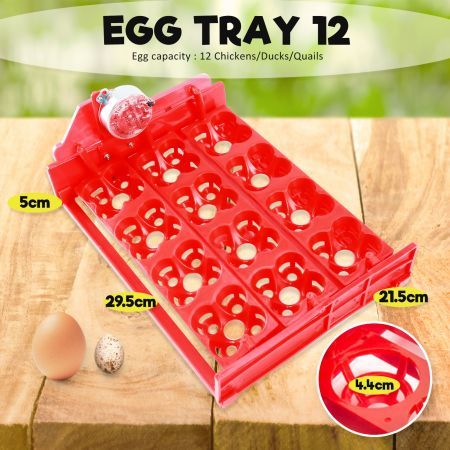 Eggs Digital Hatch Incubator Chicken Quail 12 Eggs Tray