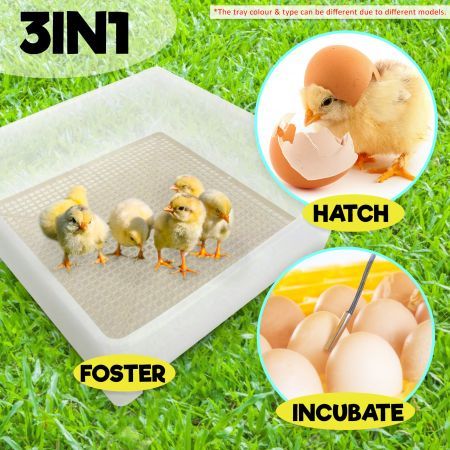 Eggs Digital Hatch Incubator Chicken Quail 120 Eggs Tray