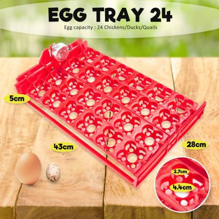 Eggs Digital Hatch Incubator Chicken Quail 24 Eggs Tray