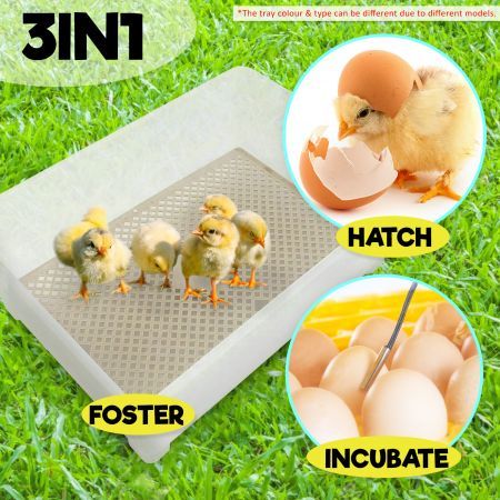 Eggs Digital Hatch Incubator Chicken Quail 32 Eggs Tray