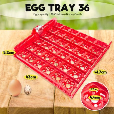 Eggs Digital Hatch Incubator Chicken Quail 36 Eggs Tray